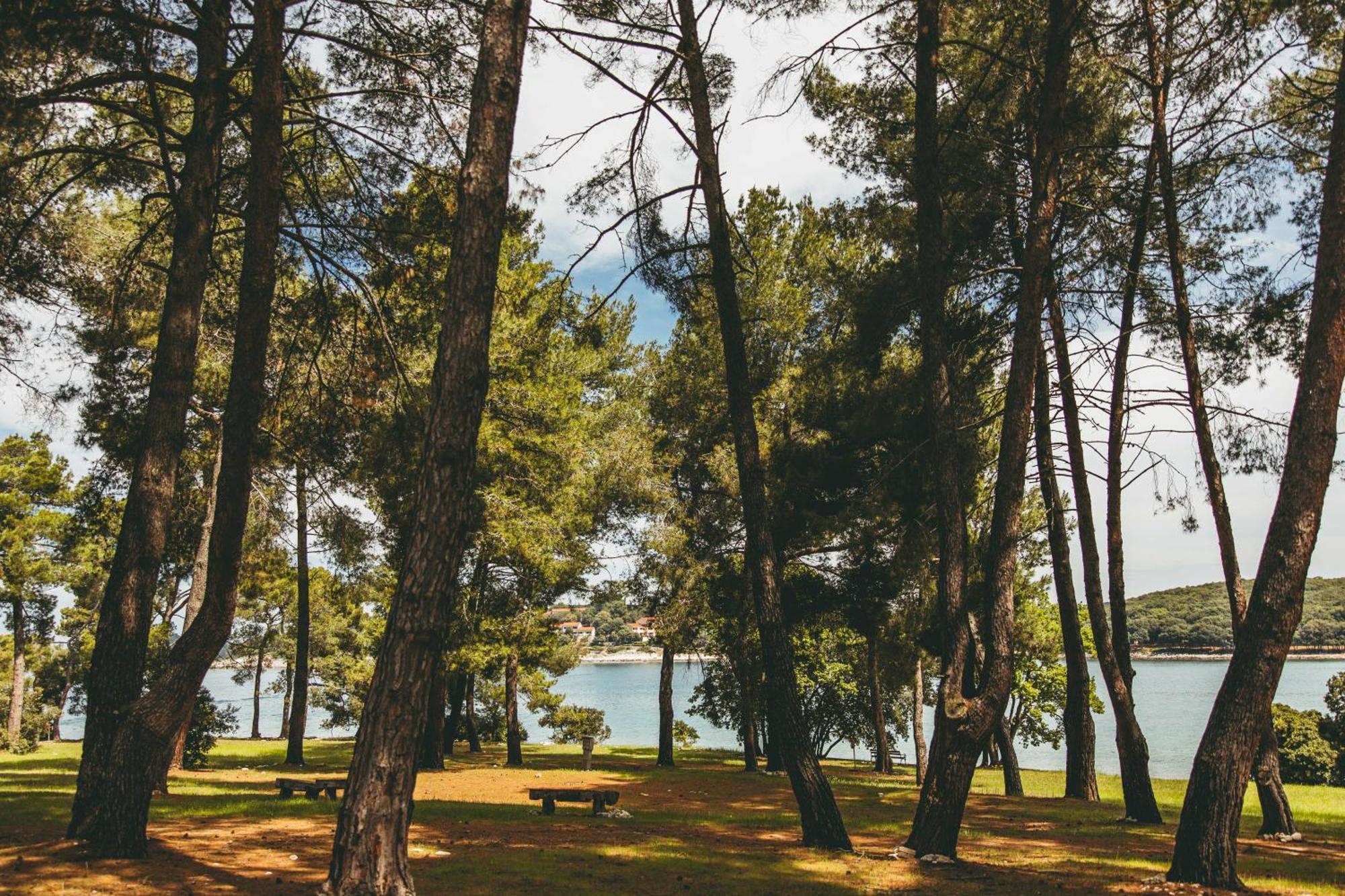 Maistra Camping Koversada Uncovered Naturist Pitches Vrsar Dış mekan fotoğraf
