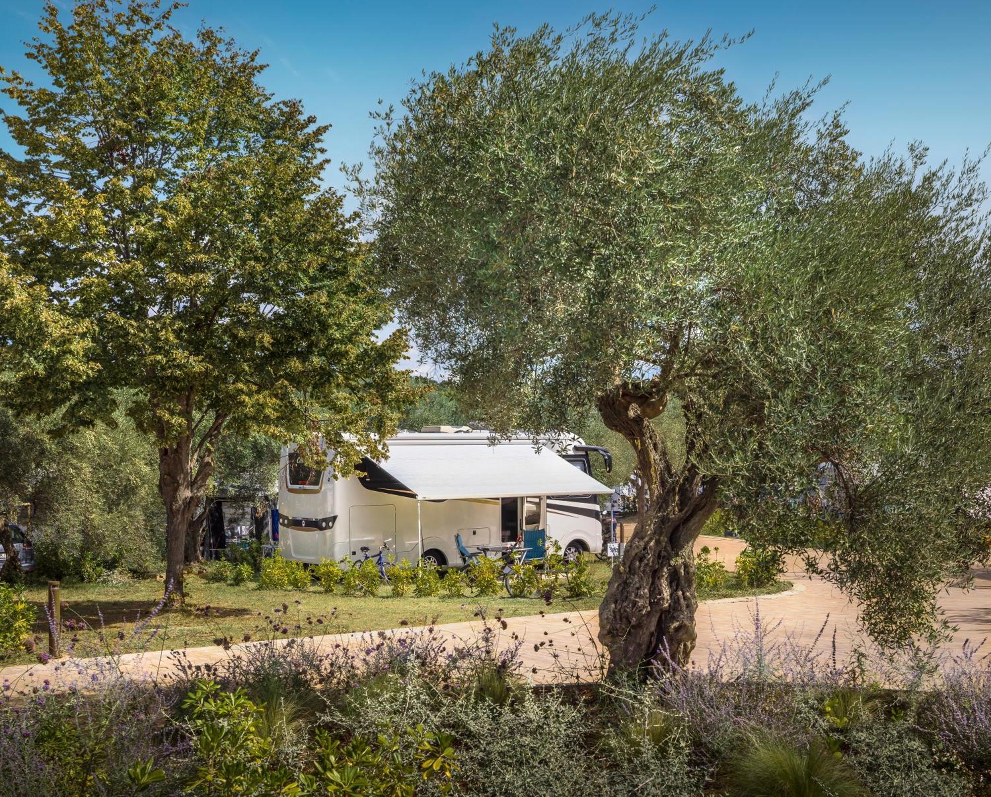 Maistra Camping Koversada Uncovered Naturist Pitches Vrsar Dış mekan fotoğraf